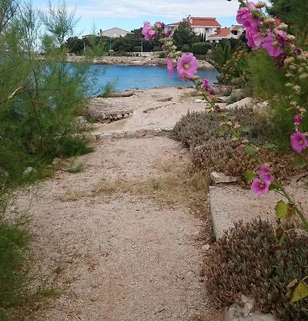Baka Jelka Mandre